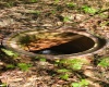 TBD Maple Run, Fairmont, West Virginia 26554-9999, ,Lots/land,For Sale,Maple,10159506