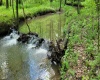 TBD Maple Run, Fairmont, West Virginia 26554-9999, ,Lots/land,For Sale,Maple,10159506