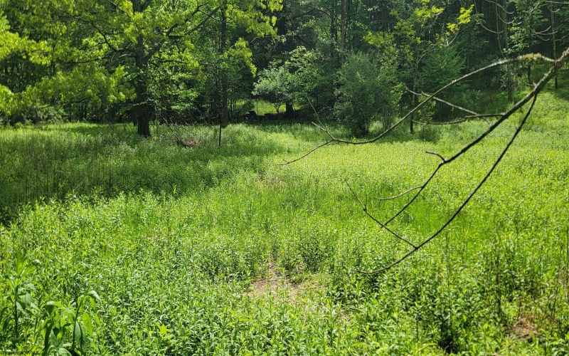 TBD Maple Run, Fairmont, West Virginia 26554-9999, ,Lots/land,For Sale,Maple,10159506