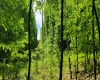 TBD Maple Run, Fairmont, West Virginia 26554-9999, ,Lots/land,For Sale,Maple,10159506