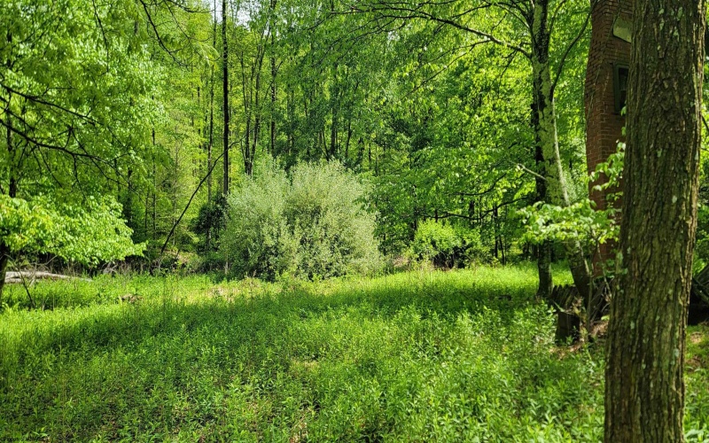 TBD Maple Run, Fairmont, West Virginia 26554-9999, ,Lots/land,For Sale,Maple,10159506