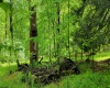 TBD Maple Run, Fairmont, West Virginia 26554-9999, ,Lots/land,For Sale,Maple,10159506
