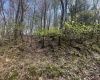 Lot 94 Day Lily Circle, Terra Alta, West Virginia 26764, ,Lots/land,For Sale,Day Lily,10159508