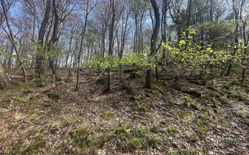 Lot 94 Day Lily Circle, Terra Alta, West Virginia 26764, ,Lots/land,For Sale,Day Lily,10159508