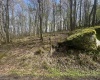 Lot 94 Day Lily Circle, Terra Alta, West Virginia 26764, ,Lots/land,For Sale,Day Lily,10159508
