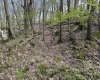 Lot 94 Day Lily Circle, Terra Alta, West Virginia 26764, ,Lots/land,For Sale,Day Lily,10159508