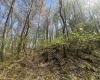 Lot 94 Day Lily Circle, Terra Alta, West Virginia 26764, ,Lots/land,For Sale,Day Lily,10159508