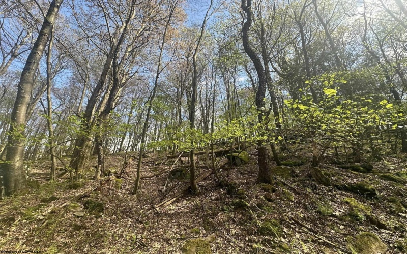 Lot 94 Day Lily Circle, Terra Alta, West Virginia 26764, ,Lots/land,For Sale,Day Lily,10159508