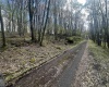 Lot 94 Day Lily Circle, Terra Alta, West Virginia 26764, ,Lots/land,For Sale,Day Lily,10159508