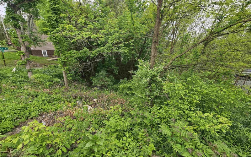 TBD Glenn Street, Morgantown, West Virginia 26505, ,Lots/land,For Sale,Glenn,10159503