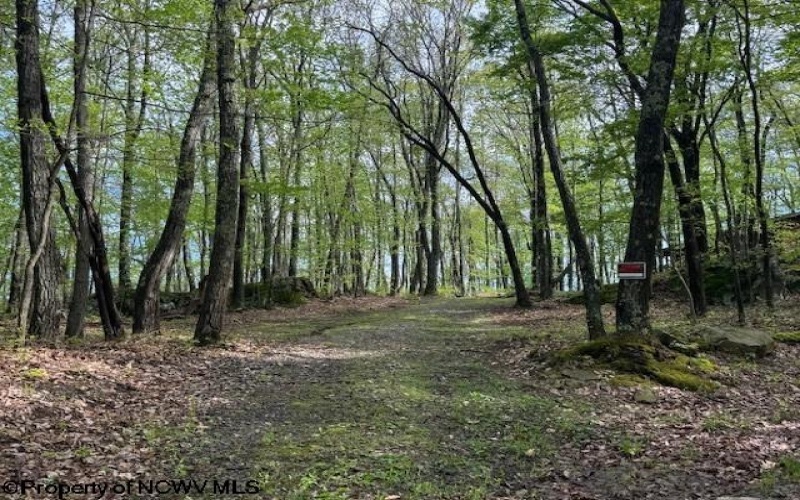 633 Mill Creek, Philippi, West Virginia 26416, ,Lots/land,For Sale,Mill,10159520
