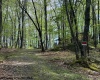 633 Mill Creek, Philippi, West Virginia 26416, ,Lots/land,For Sale,Mill,10159520