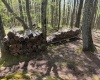 633 Mill Creek, Philippi, West Virginia 26416, ,Lots/land,For Sale,Mill,10159520