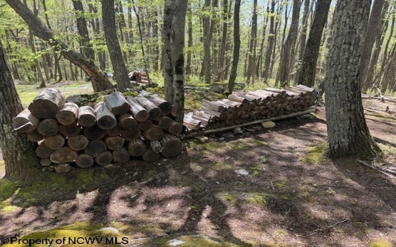 633 Mill Creek, Philippi, West Virginia 26416, ,Lots/land,For Sale,Mill,10159520