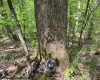 633 Mill Creek, Philippi, West Virginia 26416, ,Lots/land,For Sale,Mill,10159520