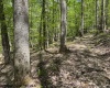 633 Mill Creek, Philippi, West Virginia 26416, ,Lots/land,For Sale,Mill,10159520