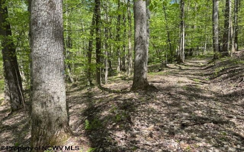 633 Mill Creek, Philippi, West Virginia 26416, ,Lots/land,For Sale,Mill,10159520