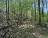 633 Mill Creek, Philippi, West Virginia 26416, ,Lots/land,For Sale,Mill,10159520