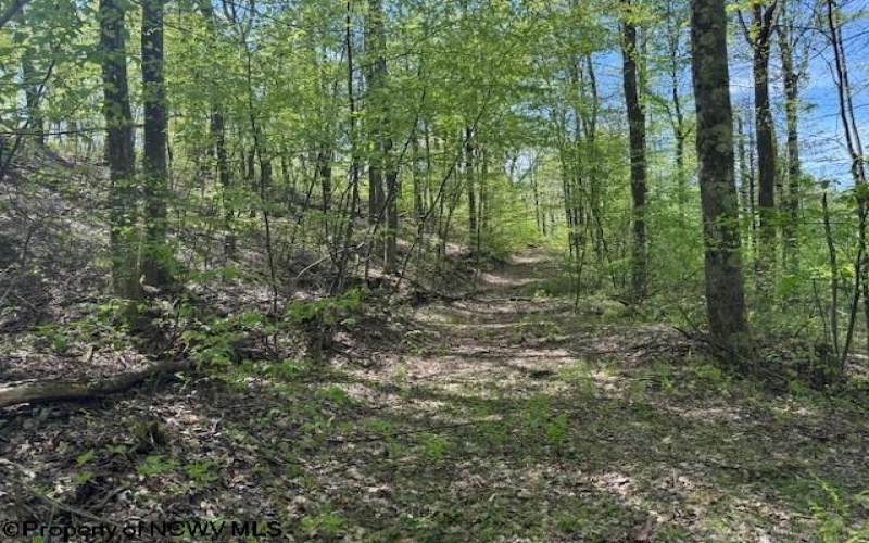 633 Mill Creek, Philippi, West Virginia 26416, ,Lots/land,For Sale,Mill,10159520