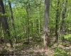 633 Mill Creek, Philippi, West Virginia 26416, ,Lots/land,For Sale,Mill,10159520
