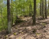 633 Mill Creek, Philippi, West Virginia 26416, ,Lots/land,For Sale,Mill,10159520