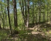 633 Mill Creek, Philippi, West Virginia 26416, ,Lots/land,For Sale,Mill,10159520