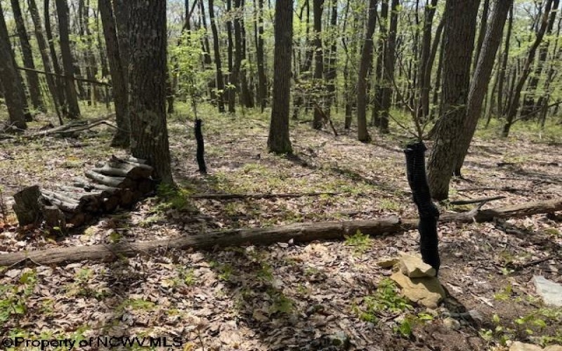 633 Mill Creek, Philippi, West Virginia 26416, ,Lots/land,For Sale,Mill,10159520