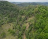 00 Green Valley Road, Bridgeport, West Virginia 26330, ,Lots/land,For Sale,Green Valley,10159544