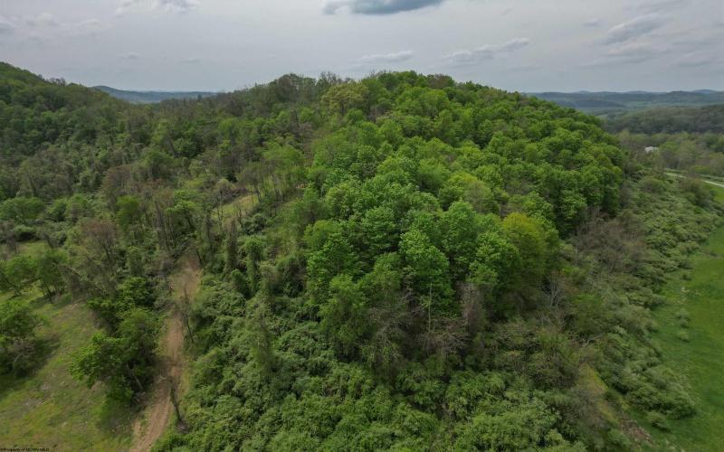 00 Green Valley Road, Bridgeport, West Virginia 26330, ,Lots/land,For Sale,Green Valley,10159544