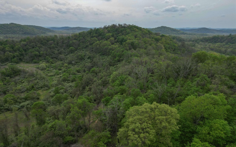 00 Green Valley Road, Bridgeport, West Virginia 26330, ,Lots/land,For Sale,Green Valley,10159544