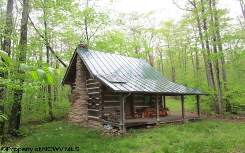 1303 Pheasant Mountain Road, Kerens, West Virginia 26276, 2 Bedrooms Bedrooms, 4 Rooms Rooms,2 BathroomsBathrooms,Single Family Detached,For Sale,Pheasant Mountain,10159545
