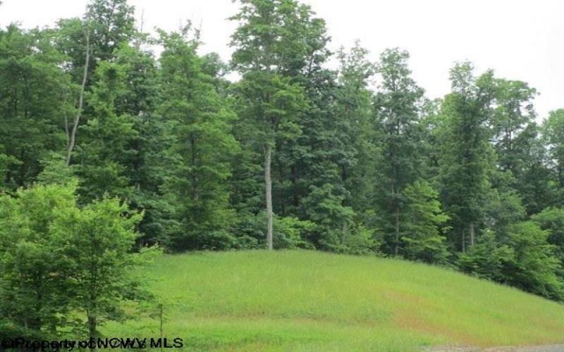 1303 Pheasant Mountain Road, Kerens, West Virginia 26276, 2 Bedrooms Bedrooms, 4 Rooms Rooms,2 BathroomsBathrooms,Single Family Detached,For Sale,Pheasant Mountain,10159545