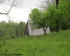1303 Pheasant Mountain Road, Kerens, West Virginia 26276, 2 Bedrooms Bedrooms, 4 Rooms Rooms,2 BathroomsBathrooms,Single Family Detached,For Sale,Pheasant Mountain,10159545