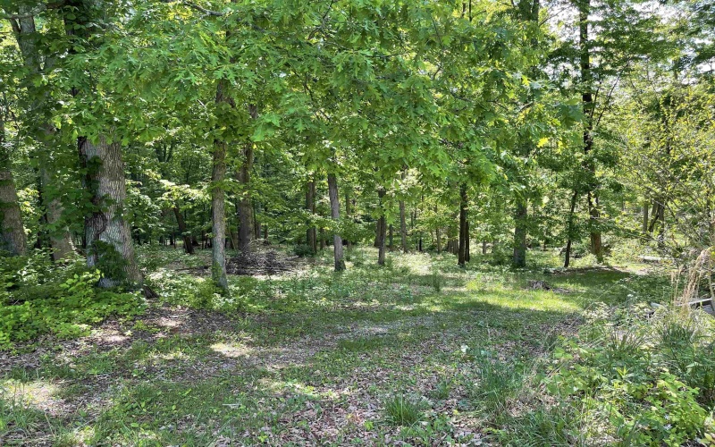 1123 Bakers Ridge Road, Morgantown, West Virginia 26508, 3 Bedrooms Bedrooms, 9 Rooms Rooms,1 BathroomBathrooms,Single Family Detached,For Sale,Bakers Ridge,10159552