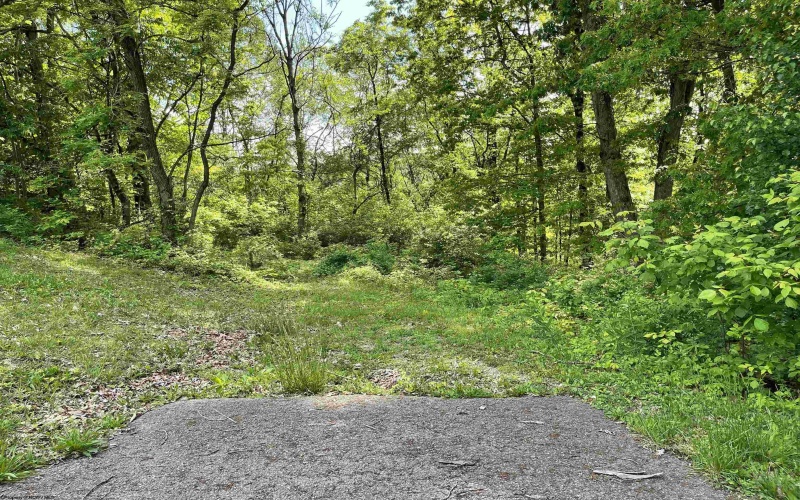 1123 Bakers Ridge Road, Morgantown, West Virginia 26508, 3 Bedrooms Bedrooms, 9 Rooms Rooms,1 BathroomBathrooms,Single Family Detached,For Sale,Bakers Ridge,10159552