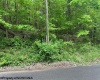 TBD Moyer Hollow Road, Elkins, West Virginia 26241, ,Lots/land,For Sale,Moyer Hollow,10159554