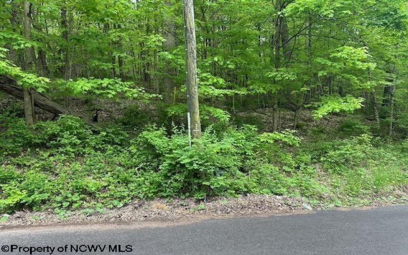 TBD Moyer Hollow Road, Elkins, West Virginia 26241, ,Lots/land,For Sale,Moyer Hollow,10159554