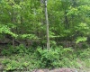 TBD Moyer Hollow Road, Elkins, West Virginia 26241, ,Lots/land,For Sale,Moyer Hollow,10159554