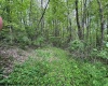 TBD Moyer Hollow Road, Elkins, West Virginia 26241, ,Lots/land,For Sale,Moyer Hollow,10159554