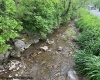 TBD Moyer Hollow Road, Elkins, West Virginia 26241, ,Lots/land,For Sale,Moyer Hollow,10159554