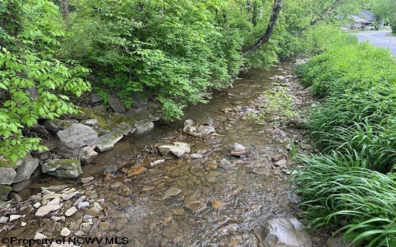 TBD Moyer Hollow Road, Elkins, West Virginia 26241, ,Lots/land,For Sale,Moyer Hollow,10159554