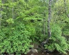 TBD Moyer Hollow Road, Elkins, West Virginia 26241, ,Lots/land,For Sale,Moyer Hollow,10159554