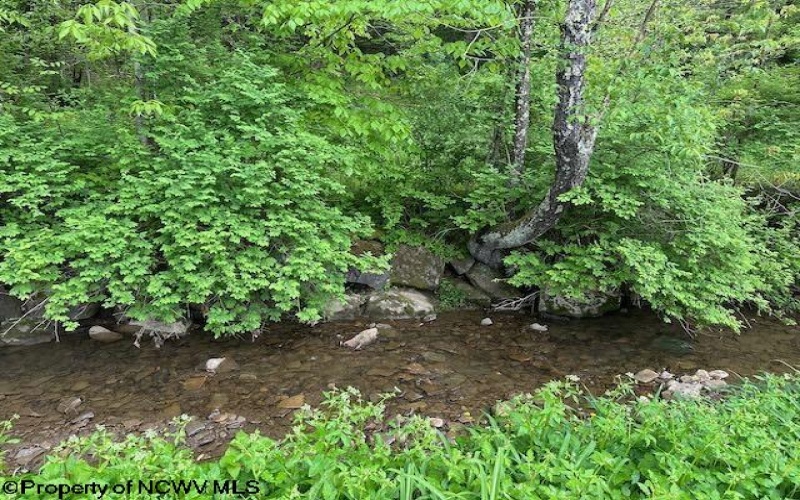 TBD Moyer Hollow Road, Elkins, West Virginia 26241, ,Lots/land,For Sale,Moyer Hollow,10159554