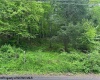 TBD Moyer Hollow Road, Elkins, West Virginia 26241, ,Lots/land,For Sale,Moyer Hollow,10159554