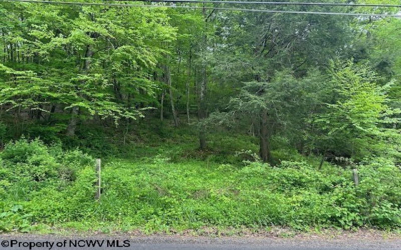 TBD Moyer Hollow Road, Elkins, West Virginia 26241, ,Lots/land,For Sale,Moyer Hollow,10159554