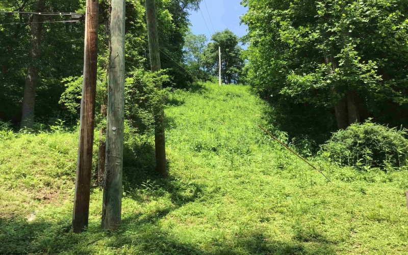 306 White Island Road, Colfax, West Virginia 26554, ,Lots/land,For Sale,White Island,10153034