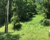 306 White Island Road, Colfax, West Virginia 26554, ,Lots/land,For Sale,White Island,10153034