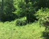 306 White Island Road, Colfax, West Virginia 26554, ,Lots/land,For Sale,White Island,10153034