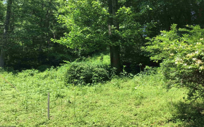 306 White Island Road, Colfax, West Virginia 26554, ,Lots/land,For Sale,White Island,10153034