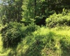 306 White Island Road, Colfax, West Virginia 26554, ,Lots/land,For Sale,White Island,10153034